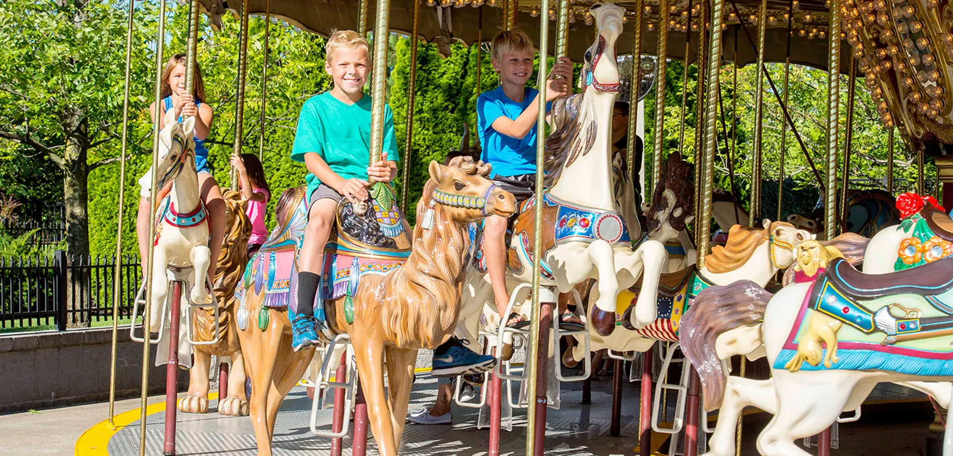 Attraction Accessibility background image